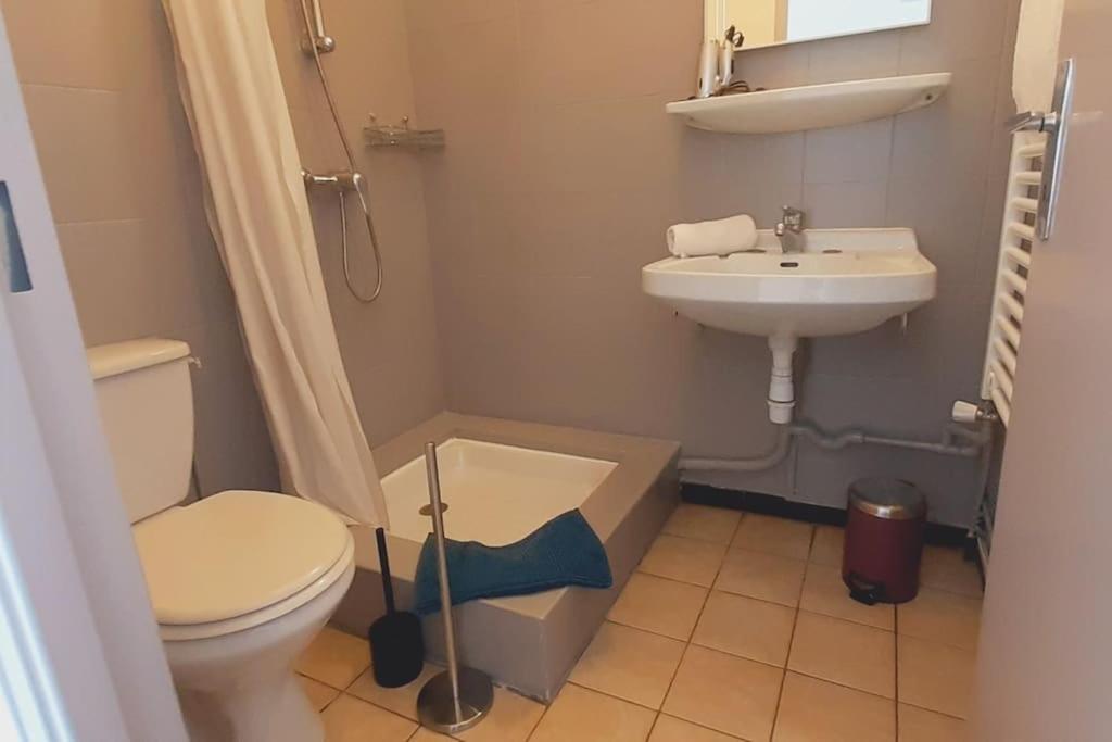 Les Grizzlies-Le Mauzac Apartment Limoux Ngoại thất bức ảnh